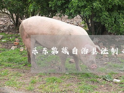乐东黎族自治县法制办 乐东黎族自治县法制办