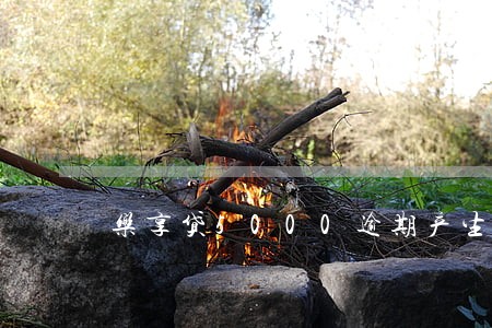 乐享贷5000逾期产生多少费用