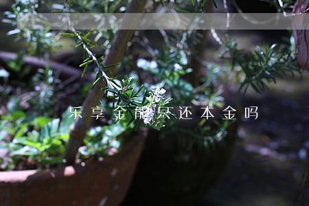 乐享金能只还本金吗 乐享金能只还本金吗