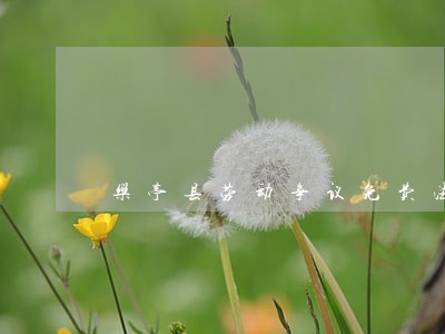 乐亭县劳动争议免费法律咨询热线 乐亭县劳动争议免费法律咨询热线