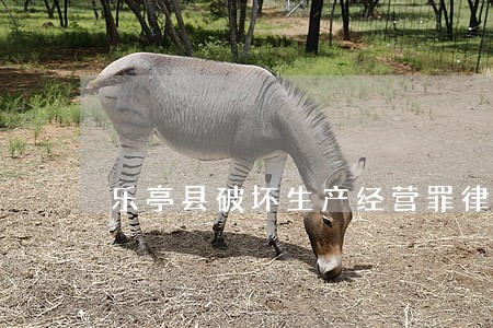 乐亭县破坏生产经营罪律师团队