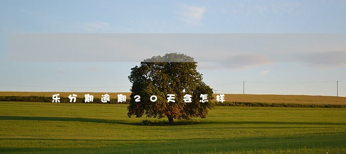 乐分期逾期20天会怎样 乐分期逾期20天会怎样