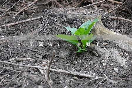 乐器银行卡逾期了 乐器银行卡逾期了