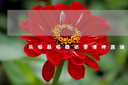 乐安县招商引资律师咨询电话