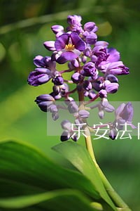 乐安法院调解谭某