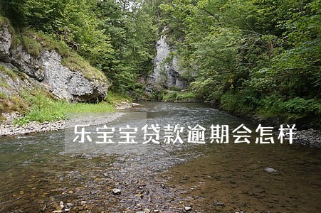 乐宝宝贷款逾期会怎样 乐宝宝贷款逾期会怎样