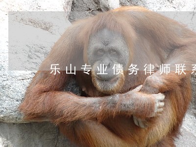 乐山专业债务律师联系方式