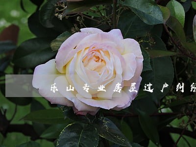 乐山专业房屋过户纠纷律师 乐山专业房屋过户纠纷律师