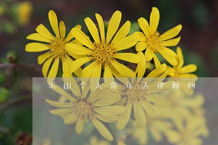 乐山个人常年法律顾问 乐山个人常年法律顾问
