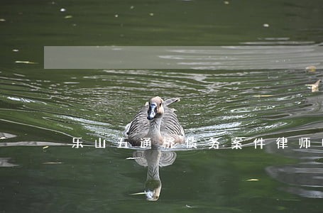 乐山五通桥债务案件律师电话