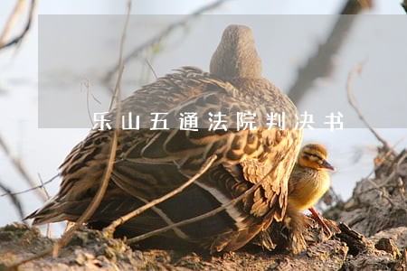 乐山五通法院判决书