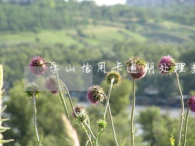 乐山信用卡逾期处理教程收费 乐山信用卡逾期处理教程收费