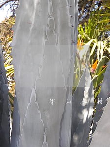 乐山农村土地补偿律师事务所 乐山农村土地补偿律师事务所