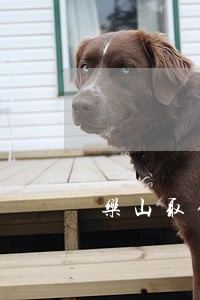乐山取保候审律师咨询电话 乐山取保候审律师咨询电话