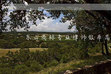 乐山商标专业律师效率高