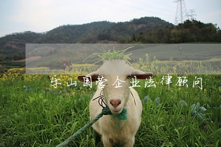 乐山国营企业法律顾问 乐山国营企业法律顾问
