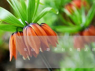 乐山土地承包免费法律咨询热线 乐山土地承包免费法律咨询热线