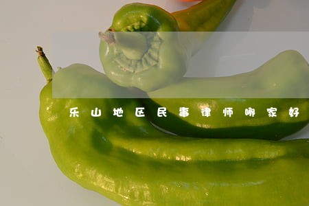 乐山地区民事律师哪家好 乐山地区民事律师哪家好