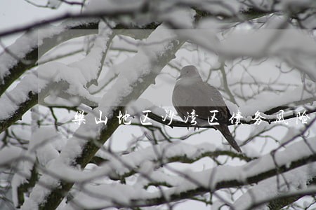 乐山地区沙湾区债务风险代理律师 乐山地区沙湾区债务风险代理律师
