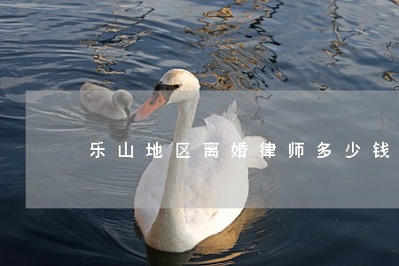 乐山地区离婚律师多少钱 乐山地区离婚律师多少钱