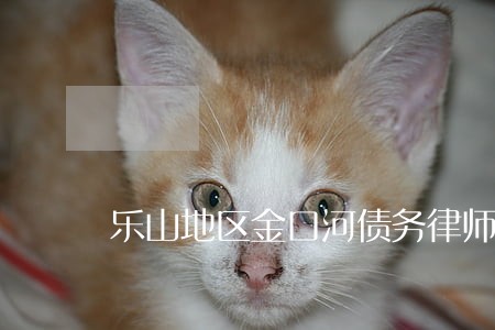 乐山地区金口河债务律师事务所 乐山地区金口河债务律师事务所