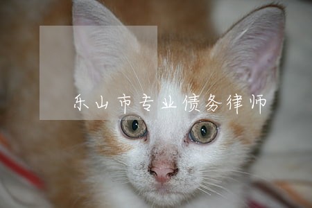 乐山市专业债务律师 乐山市专业债务律师