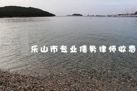 乐山市专业债务律师收费 乐山市专业债务律师收费