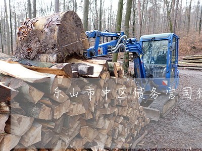 乐山市中区债务官司律师推荐 乐山市中区债务官司律师推荐