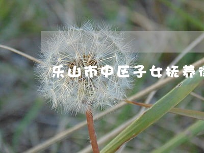 乐山市中区子女抚养律师收费 乐山市中区子女抚养律师收费