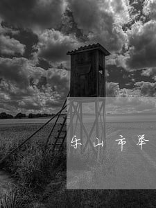 乐山市举报交通违法 乐山市举报交通违法