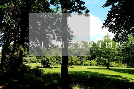 乐山市借贷案律师团队