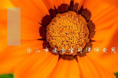 乐山市债务官司律师费用标准 乐山市债务官司律师费用标准