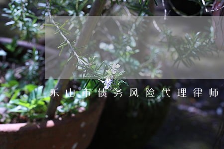 乐山市债务风险代理律师怎么委托 乐山市债务风险代理律师怎么委托