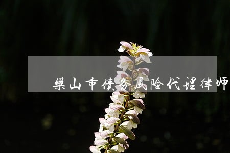 乐山市债务风险代理律师联系方式 乐山市债务风险代理律师联系方式