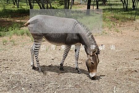 乐山市免费法律咨询 乐山市免费法律咨询