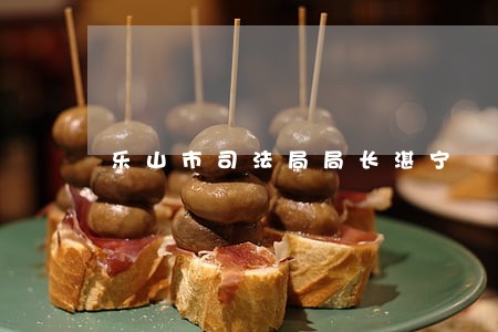 乐山市司法局局长湛宁