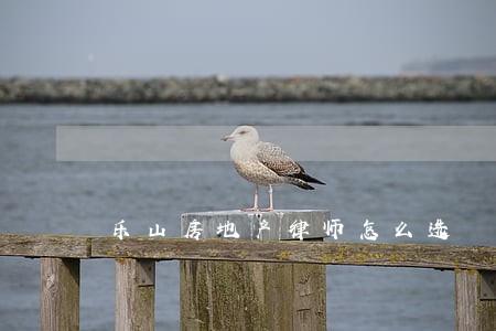 乐山房地产律师怎么选 乐山房地产律师怎么选