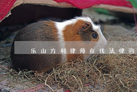 乐山方利律师在线法律咨询室 乐山方利律师在线法律咨询室