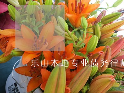 乐山本地专业债务律师哪家好 乐山本地专业债务律师哪家好