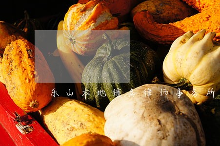 乐山本地债务律师事务所排行 乐山本地债务律师事务所排行