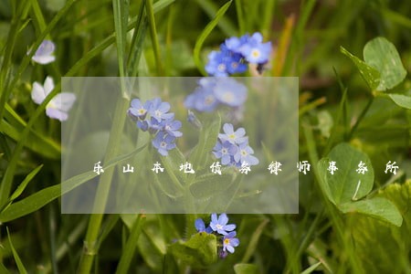 乐山本地债务律师事务所联系方式 乐山本地债务律师事务所联系方式