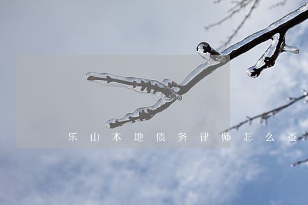 乐山本地债务律师怎么委托 乐山本地债务律师怎么委托