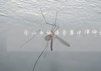 乐山本地债务案件律师推荐 乐山本地债务案件律师推荐