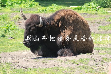 乐山本地债务风险代理律师 乐山本地债务风险代理律师