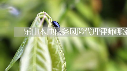 乐山本地债务风险代理律师哪家强 乐山本地债务风险代理律师哪家强