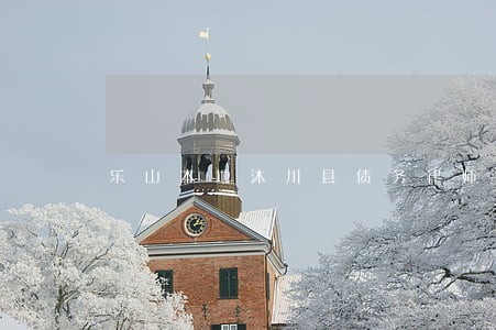 乐山本地沐川县债务律师 乐山本地沐川县债务律师