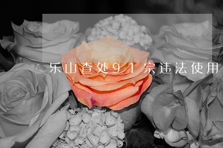 乐山查处91宗违法使用林地案件