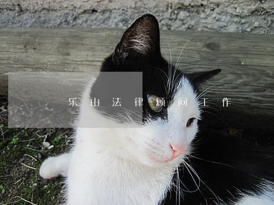 乐山法律顾问工作 乐山法律顾问工作