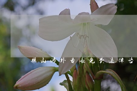 乐山涉外专长免费法律咨询热线 乐山涉外专长免费法律咨询热线