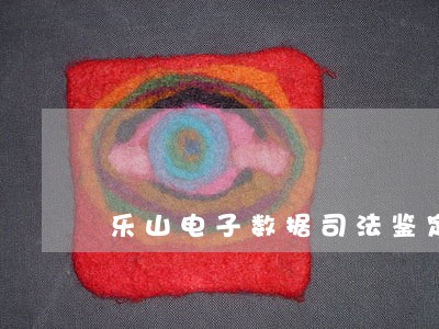 乐山电子数据司法鉴定机构哪里有 乐山电子数据司法鉴定机构哪里有